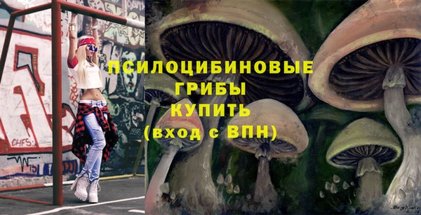прущая мука Верея