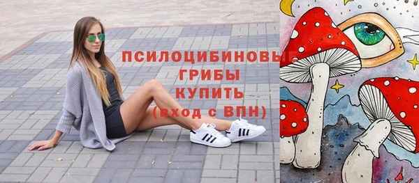 прущая мука Верея